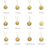 Zodiac Coin Birthstone Necklace